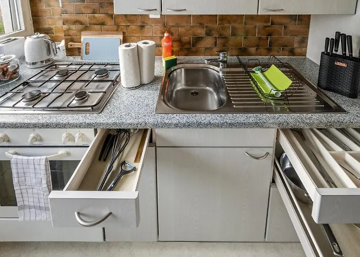 For Explorers 224 ציריך